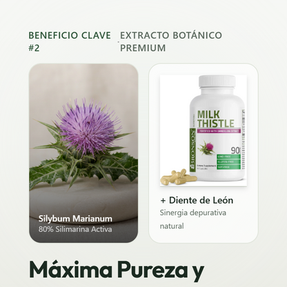 BRONSON MILK THISTLE — CARDO MARIANO